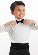 Load image into Gallery viewer, Satin Bow Tie - TIE7
