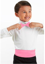 Load image into Gallery viewer, Satin Bow Tie - TIE7
