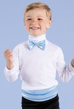 Load image into Gallery viewer, Satin Bow Tie - TIE7
