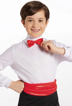 Load image into Gallery viewer, Satin Bow Tie - TIE7
